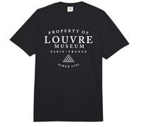 Propiedad del Museo del Louvre París Francia EST. 1793 Blanco Imprimir Comfort Colors Adult Heavyweight T-Shirt