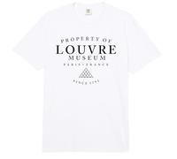 Propiedad del Museo del Louvre París Francia EST. 1793 Negro Imprimir Comfort Colors Adult Heavyweight T-Shirt