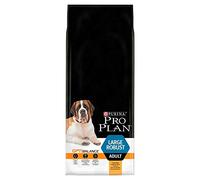 Proplan Adult Large Robust Pollo 14 kg.
