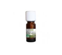 Propos Nature Aceite esencial de eucalipto globulus bio 10ml