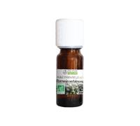 Propos'Nature Aceite Esencial Bio Romero Verbénone 10ml