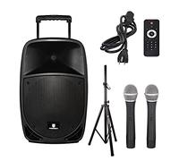 PRORECK Free 15 - Altavoz portátil de 15 pulgadas (800 W, 2 vías, recargable, con Bluetooth, USB, lector de tarjetas SD, radio FM, mando a distancia, micrófonos inalámbricos, soporte de altavoz)