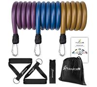 ProsourceFit Premium Heavy Duty Tube Double Dipped Latex Xtreme Stackable Resistance Bands Set 20 to 50 LB with Door Anchor and Exercise Chart Full-Body Exercises and Home Workouts