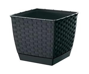 Prosper Plast drlk220-s433 22 x 22 x 18,9 cm RATOLLA Cuadrado Maceta - Color Gris (Juego de 12)