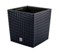 Prosper Plast DRTS225-S433 - Cuadrado Maceta Rato, Gris Antracita, 22.5 x 22.5 x 42.1 cm