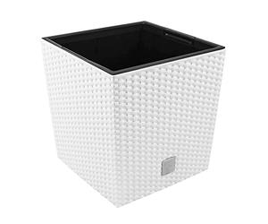 Prosper Plast DRTS325L- Rato Maceta, Blanco, 32x32x32.5 cm