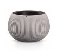 Prosperplast beton bowl de plástico con depósito en color cemento, 21,8 (alto) x 37 (ancho) x 37 (profundo) cms