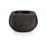 Prosperplast beton bowl de plástico con depósito en color cemento negro, 11 (alto) x 14,4 (ancho) x 14,4 (profundo) cms