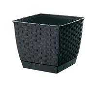 Prosperplast drlk145 de S433 14,5 x 14,5 x 12,6 cm ratolla Square Maceta - Color Gris