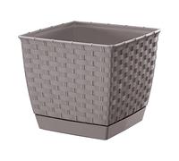 Prosperplast kv?tiná? RATOLLA Square 19x19x15,9cm BÉŽ TM. (752