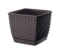 Prosperplast Maceta con Posavasos ratán. 14 cm marrón Cuadrado Macetero