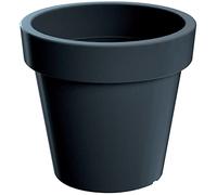 ProsperPlast Maceta de plastico con Soporte Lofly en Color Antracita (Largo) x 58,2 (Ancho) x 52,3 (Alto) cm