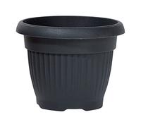 Prosperplast Maceta Terra 3l., Dimensiones (mm) 200x200x155, Color Antracita
