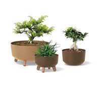 Prosperplast Macetero Color café, con Patas Desmontables, Redondo, colección Gracia de 38 x 38 x 19,5 cm, Capacidad de 14,3 L.