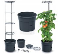 Prosperplast macetero tomate grower de plástico en color antracita (l