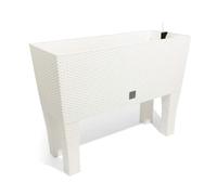 Prosperplast Rato Case DRTC600H Maceta de Ratán con Patas para Plantas Sistema de Riego Jardín 60x25x46 cm Color Blanco
