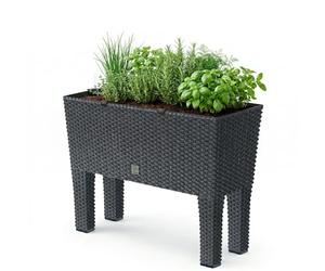 Prosperplast Zanvic Rato Jardinera Antracita ZA703, 60 cm