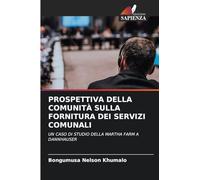 Prospettiva Della Comunità Sulla Fornitura Dei Servizi Comunali