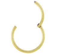 PROSTEEL Piercing Labio Anillos Labret Anillos Hinged Segmento Clicker 18G Acero Quirurgico Monroe Medusa Piercing Tragus Pendientes Helix Cartilago Oreja Piercing para Mujer Hombre