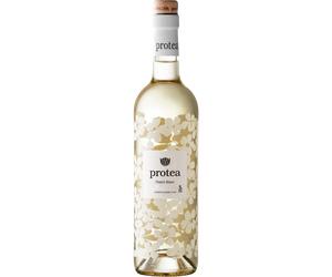 Protea Chenin Blanc 2025 - Anthonij Rupert