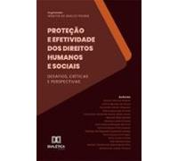 Proteção E Efetividade Dos Direitos Humanos E Sociais (ebook)