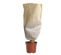 Protección contra heladas contra heladas | Protección transpirable resistente a las heladas, campanas de protección contra heladas | para césped de invierno jardín árboles rosas arbustos plantas