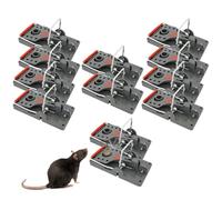 Protect Home - Juego de 12 trampas innovadoras para Ratas Click de Alta Fuerza de Ataque - Lucha eficaz y no tóxica