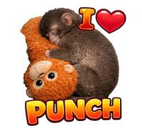 Protect Punch the Monkey Sticker - Cute Monkey Holding Plush Toy, Waterproof Vinyl Decal for Laptop, Water Bottle, Phone, Car, and Room Decor (Sytle E,10PC)