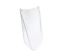 PROTECTEUR RELEVABLE - Pantalla de recambio acetato incoloro anti-vaho para RELRSI