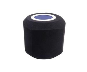 Protector Acústico con Filtro de Viento para Micrófono, para Estudios de Grabación, Espuma Absorbente de Sonido para la Mayoría de los Soportes de