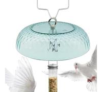 Protector Contra La Lluvia Para De Pájaros Cúpula Transparente De Estación | Barrera Para De Aves Para Jardín, Patio y
