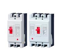 Protector de disyuntor de caja de plástico DZ15 2P 32A 40A63A100A 3P interruptor de aire 380/220V trifásico(2P/100A)