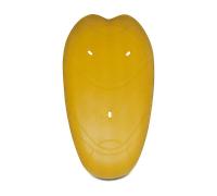 Protector de Espalda Ixon Niño Amarillo Talla única Amarillo