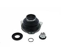 SNR Fuelle de cardán para BMW: Série 7 & RENAULT: Master, Clio, Safrane, Kangoo, Espace, Laguna, Mégane Classic, Mégane (Ref: IBK55.026)