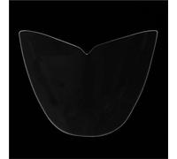 Protector de lámpara de motocicleta para FZ03 para MT03 para MT para FZ 03 para MT-03 para FZ-03 2015-2019 Moto delantero protector de pantalla de lente (transparente) (humo)