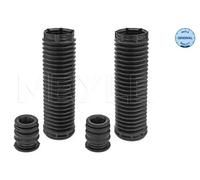 Dirección - Suspensión - Tren > Muelles y fuelles > Juego de guardapolvos, amortiguador