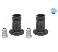 Dirección - Suspensión - Tren > Muelles y fuelles > Juego de guardapolvos, amortiguador