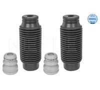 Dirección - Suspensión - Tren > Muelles y fuelles > Juego de guardapolvos, amortiguador