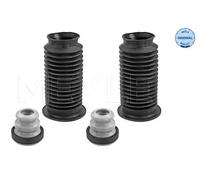 Dirección - Suspensión - Tren > Muelles y fuelles > Juego de guardapolvos, amortiguador