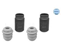 Dirección - Suspensión - Tren > Muelles y fuelles > Juego de guardapolvos, amortiguador