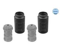 Dirección - Suspensión - Tren > Muelles y fuelles > Juego de guardapolvos, amortiguador