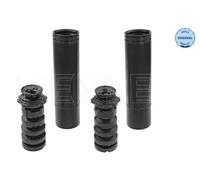 Dirección - Suspensión - Tren > Muelles y fuelles > Juego de guardapolvos, amortiguador