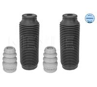 Dirección - Suspensión - Tren > Muelles y fuelles > Juego de guardapolvos, amortiguador