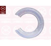 Protector del disco de freno Eje trasero izquierda cincado 2957870 KLOKKERHOLM