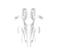 Protector depósito Pegatinas Para Trident 660 Superficie De Pintura, Envoltura Invisible Para Coche, Película Protectora Para Tanque Aceite, Piezas Modificadas