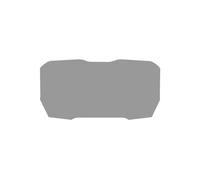 Protector Pantalla Dashboard Película Protectora para Instrumentos de Motocicleta, para Panigale V4 V4S st&reetfi&ghter V4 Panigale V4R 2018 2019 2020 2021