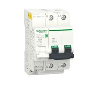 Protector sobretensión permanente y transitoria 40a schneider
