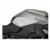 Protectores depósito laterales Puig para BMW R 1200 RS LC 15-18 Transparente