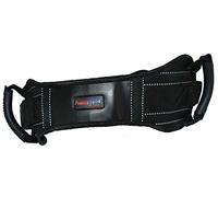 protectWEAR Motocicleta Pasajero cinturón de Seguridad/Correa de Pasajero SHG
