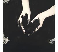 Protein - The Secret Garden [Vinilo]